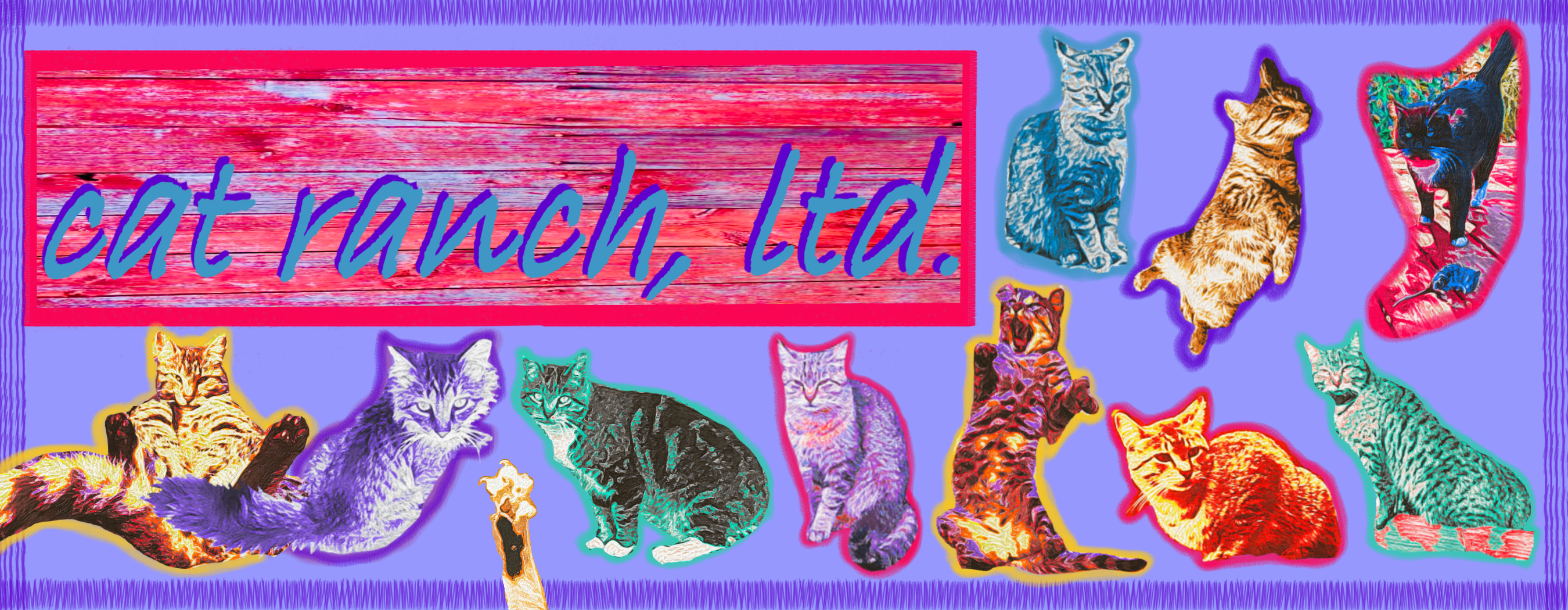 Cat Ranch Ltd.